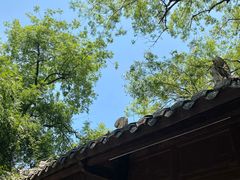 -白帝城·瞿塘峡景区