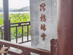 -西湖游船