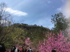 -天台山赤城山景区
