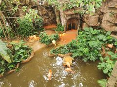 -长鹿旅游休博园