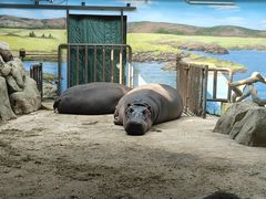 -大连森林动物园