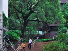 -香港大学