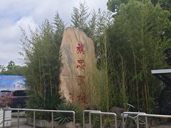 -胜华驾校·小猫学车(银都店)