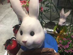 -苗小坛酸汤鱼(酒仙桥店)