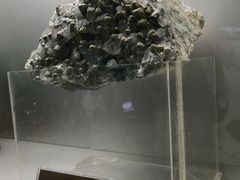 方解石黄铁矿-甘肃地质博物馆