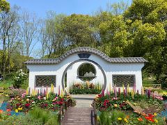 -上海共青森林公园