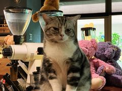 -咖法森林·咖啡  酒吧(天河店)