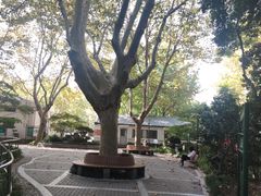 -华山儿童公园