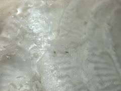 -欢姐伦教糕(北海大道北店)