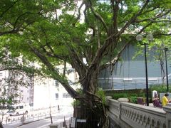 -香港佐治五世纪念公园