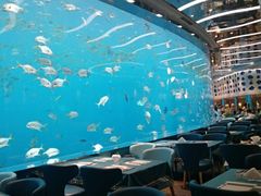 -瑞德姆美人鱼海底演艺主题餐厅(亚龙湾店)