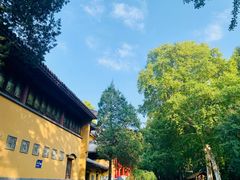 -灵谷景区