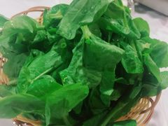 -鲜入围煮花胶鸡海鲜火锅