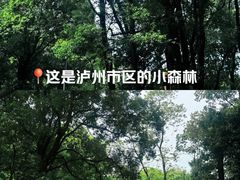 -忠山公园