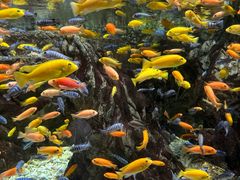 -太平洋海底世界