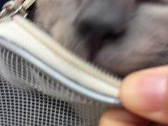 -全心全意连锁动物医院·微创中心·内科急重症·心脏专科(丰管路店)