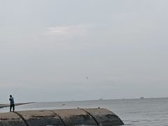 -东疆建设开发纪念公园