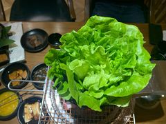 -九田家黑牛烤肉料理(二天地店)