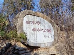 -白水寺森林公园