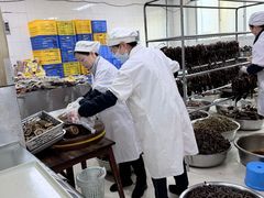 -金丹酱板鸭营业厅(紫缘路店)