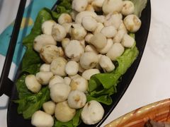 -三毛牛肉店(福强店)