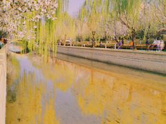 -海棠花溪(元大都城垣遗址公园)