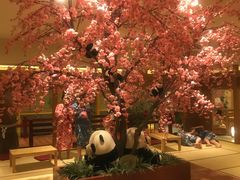 -大江户·温泉洗浴(浑南店)