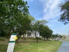 -两河城市森林公园