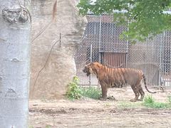 -秦皇岛野生动物园