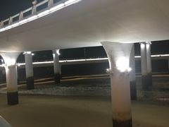 -演武大桥观景平台