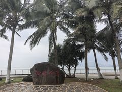 -万绿园