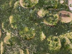 -新名仕新白玉兰餐厅