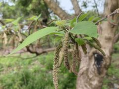 -中国天府农业博览园