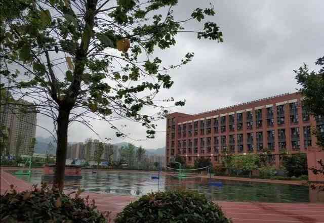 重庆市大学城第一中学校-"重庆市大学城第一中学(简称:大一中),在.