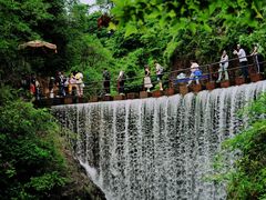-大奇山国家森林公园