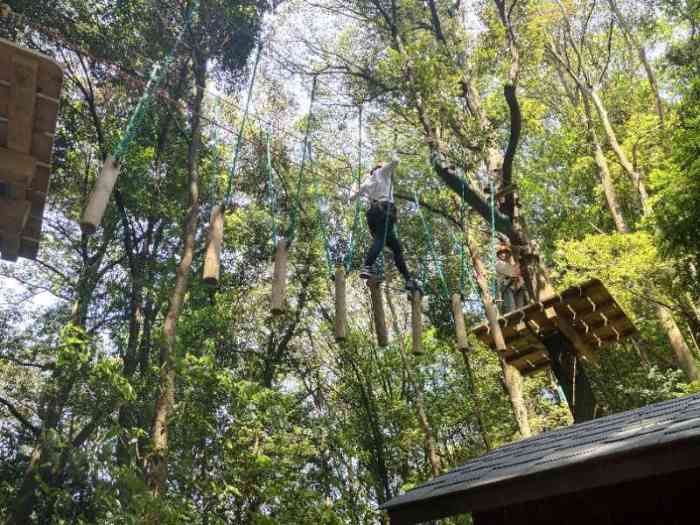 衢州大荫山滑鼠丛林飞越探险乐园