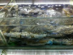 -覃记海鲜美食餐厅