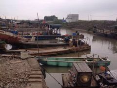 -浪琴湾尾角仔海鲜坊