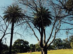 -悉尼歌剧院