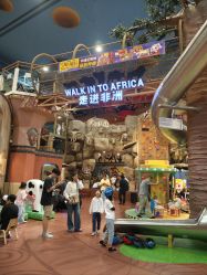 -卡通尼·Safari非洲探索乐园·生日会(金桥国际商业广场店)