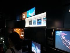 -同济大学四平路校区深海探索馆