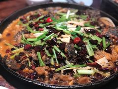 -老板恋上鱼(荣盛广场店)