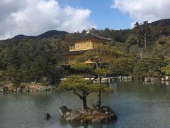 -豆政(金閣寺境内売店)