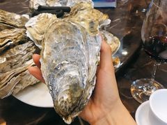 -蚝专家(北滘店)