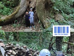 -莫里热带雨林景区