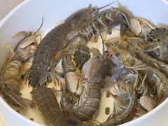 -苏大嘴蒸汽海鲜·海胆蒸饺(中山广场店)