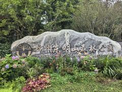 -东明山森林公园