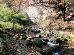 -秦岭终南山世界地质公园翠华山景区