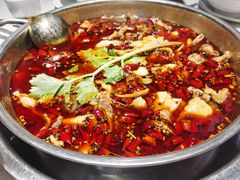 -蛙蛙鸡冷锅鱼(驷马桥店)
