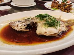 -君豪大酒店-东海渔村中餐厅